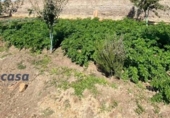 Suelo urbano en venta en la España, Belmez, ref: TR116443 foto