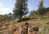 Parcel·la urbanitzable en venda a la España, Sant Llorenç Savall, ref.: TR116445 foto