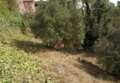 Parcel·la urbanitzable en venda a la España, Sant Llorenç Savall, ref.: TR116445 foto