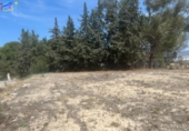 Sòl urbà en venda a la España, Archena, ref.: TR116794 foto