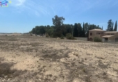 Sòl urbà en venda a la España, Archena, ref.: TR116794 foto