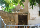 Parcela urbanizable en venta en la España, Calatayud, ref: TR117054 foto