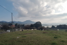 Argoños 2030&nbsp;m²