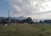 Terreno no urbanizable en venta en la España, Argoños, ref: TR117132 foto
