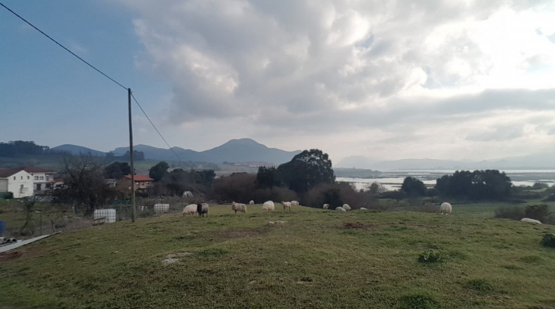 Cantàbria - Argoños - 2030m2
