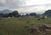 Terreno no urbanizable en venta en la España, Argoños, ref: TR117132 foto