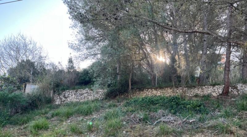 Barcelona - Canyelles - 501m2
