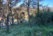 Земля на продажу у города Canyelles Фото