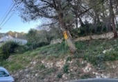 Земля на продажу у города Canyelles Фото