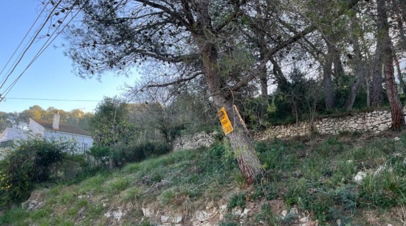 Barcelona - Canyelles - 501m2