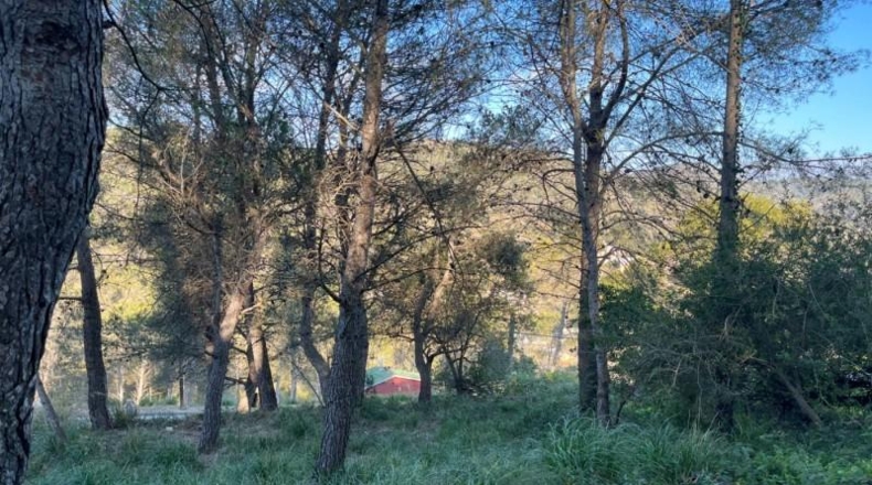 Barcelona - Canyelles - 501m2
