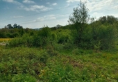 Non-developable land for sale on España, Barrantes, ref: TR181335 photo