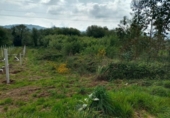 Non-developable land for sale on España, Barrantes, ref: TR181335 photo