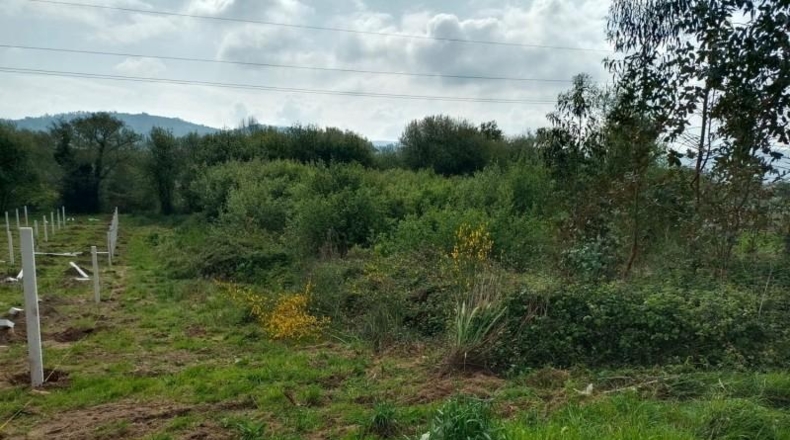 Pontevedra - Ribadumia - 1046m2