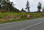 Non-developable land for sale on España, Barrantes, ref: TR181335 photo