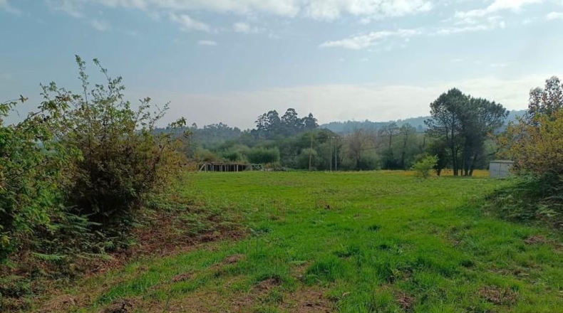Pontevedra - Ribadumia - 1046m2