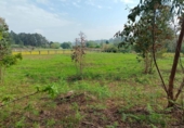 Non-developable land for sale on España, Barrantes, ref: TR181335 photo