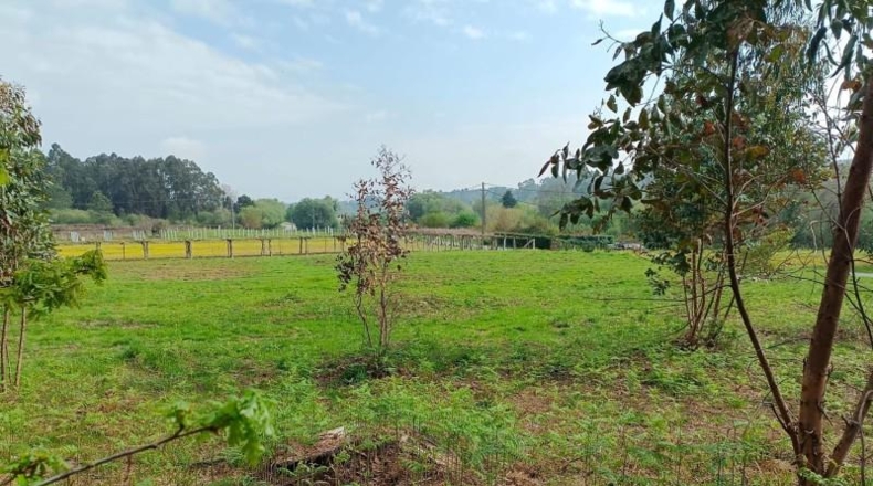Pontevedra - Ribadumia - 1046m2