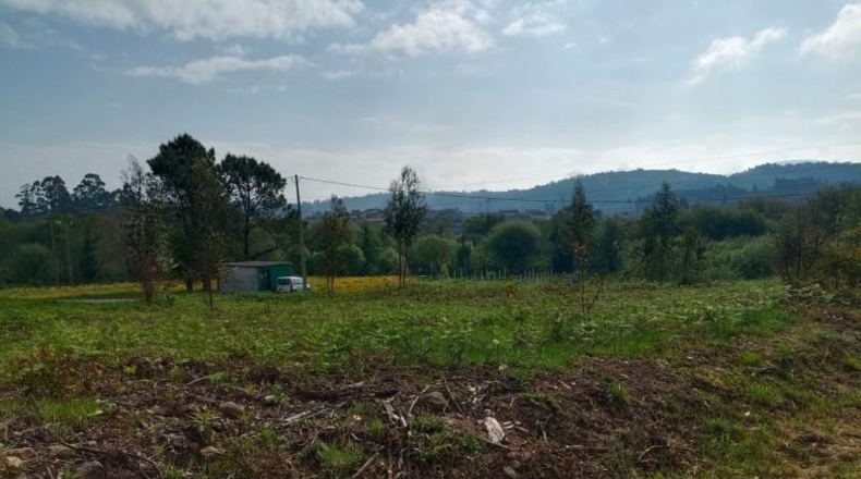 Pontevedra - Ribadumia - 1046m2