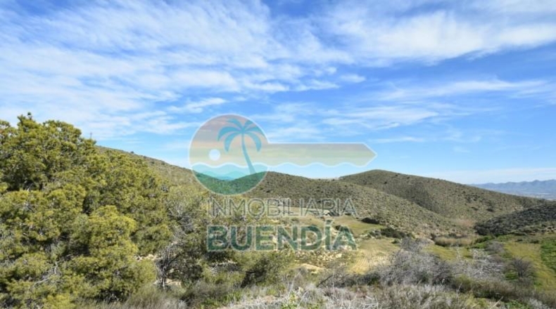 Múrcia - Mazarrón - 14000m2