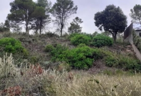 Avinyó 486&nbsp;m² 