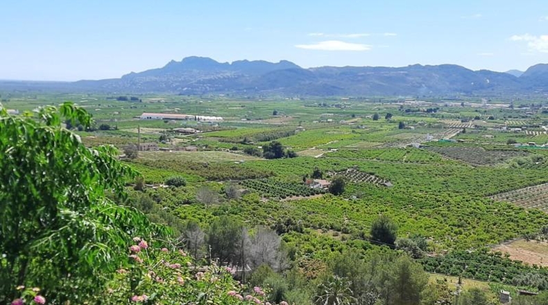 Zamora - Fuentes de Ropel - 1023m2