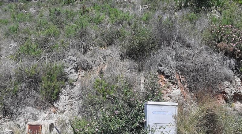 Zamora - Fuentes de Ropel - 1023m2