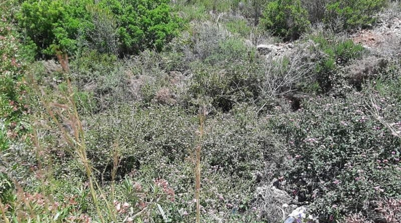 Zamora - Fuentes de Ropel - 1023m2