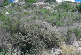 Pego 1023&nbsp;m² 
