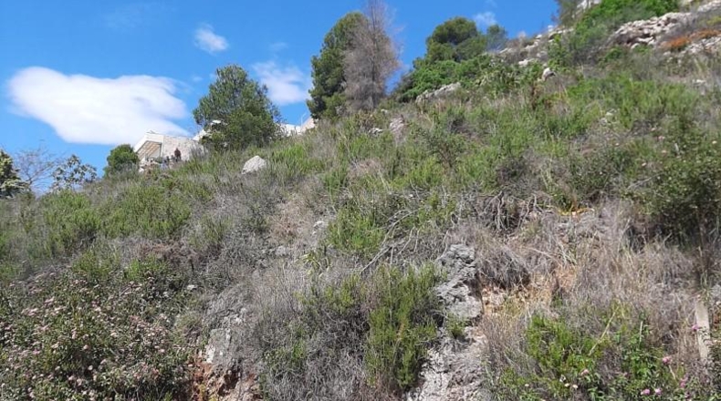 Zamora - Fuentes de Ropel - 1023m2