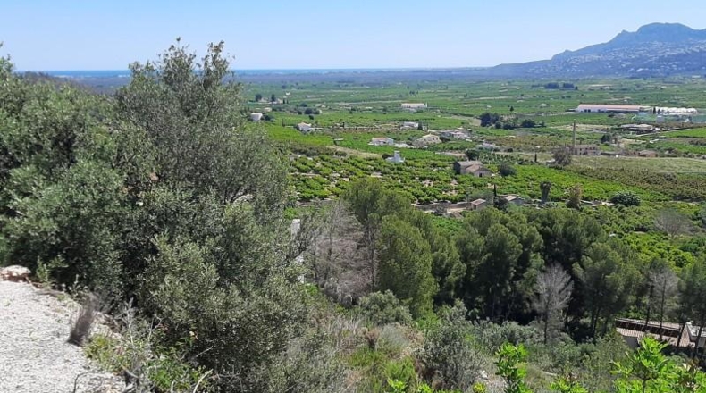 Zamora - Fuentes de Ropel - 1023m2