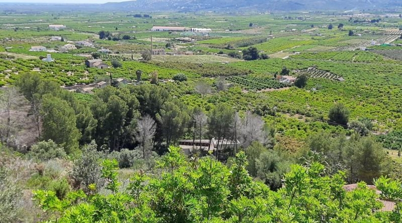 Zamora - Fuentes de Ropel - 1023m2
