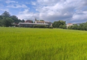 Sòl urbà en venda a la España, Santiago de Compostel·la, ref.: TR313117 foto