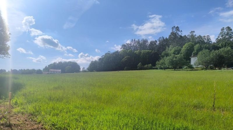 La Coruña - Santiago de Compostela - 931m2