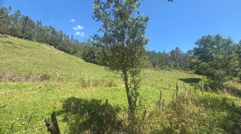 Cantabria - Ramales de la Victoria - 10407m2