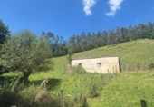 Terreny no urbanitzable en venda a la España, Ramales de la Victoria, ref.: TR313492 foto