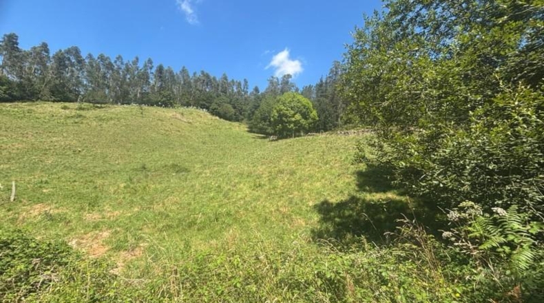 Cantabria - Ramales de la Victoria - 10407m2