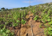 Non-developable land for sale on España, La Victoria de Acentejo, ref: TR254907 photo