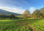 Non-developable land for sale on España, Santiurde de Toranzo, ref: TR330092 photo