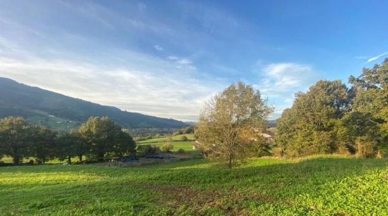 Cantabria - Santiurde de Toranzo - 23033m2