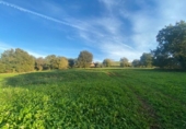 Non-developable land for sale on España, Santiurde de Toranzo, ref: TR330092 photo