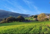 Non-developable land for sale on España, Santiurde de Toranzo, ref: TR330092 photo