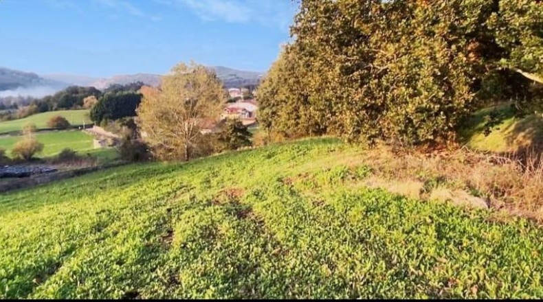 Cantabria - Santiurde de Toranzo - 23033m2