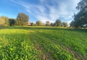 Non-developable land for sale on España, Santiurde de Toranzo, ref: TR330092 photo
