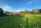 Non-developable land for sale on España, Santiurde de Toranzo, ref: TR330092 photo