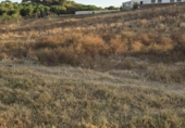 Non-developable land for sale on España, Aljaraque, ref: TR338765 photo