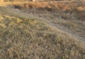Non-developable land for sale on España, Aljaraque, ref: TR338765 photo