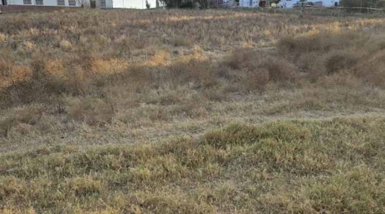 Huelva - Aljaraque - 3000m2