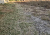 Non-developable land for sale on España, Aljaraque, ref: TR338765 photo