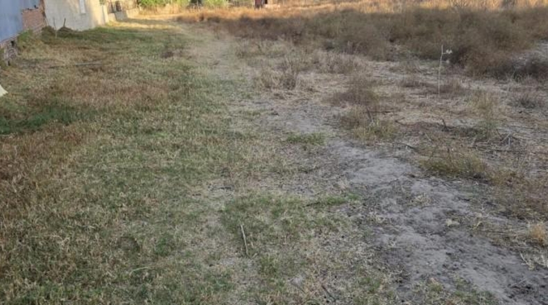 Huelva - Aljaraque - 3000m2
